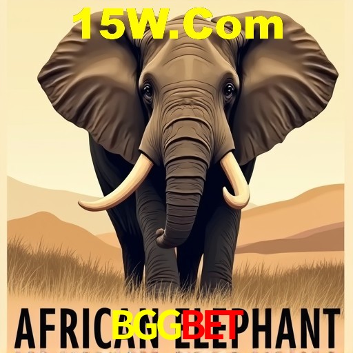 A Experiência Imersiva dos Cassinos Ao Vivo no BGGbet